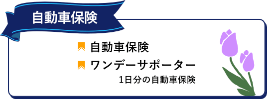 自動車保険　ワンデーサポーター1日分の自動車保険